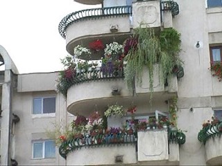 balconul-inflorit