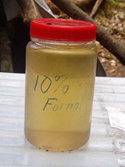 formol