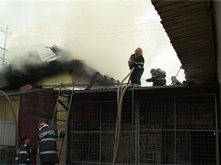 incediu-Bucov-3