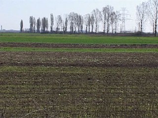 terenuri-agricole-5