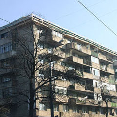81744_pic