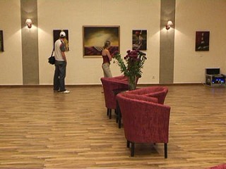 expozitie-la-galeria-regala