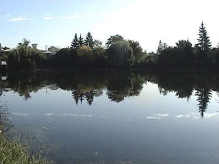 lac-2