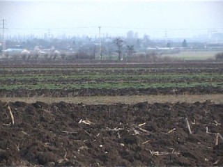 terenuri-agricole-(2)