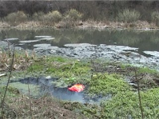 LACUL-CURIACUL-1