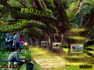 LUCA-VLAD-MIHAI--cls.-a-VIII-a-PERPETUAREA-VERDELUI-locul-I-Grafica-computerizata