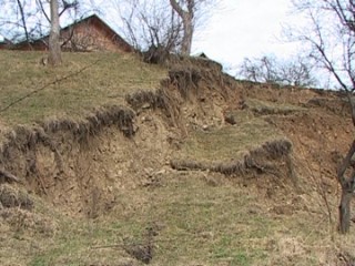 neputinciosi-in-fata-naturii-3