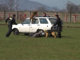 ziua-sc-pol