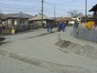 POIANA-1
