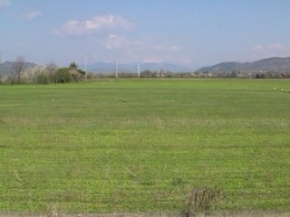 teren-sdp