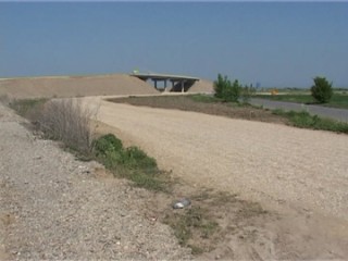 rafov