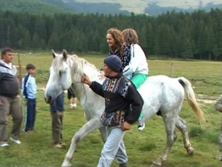 tabere-pe-timp-de-vara-2